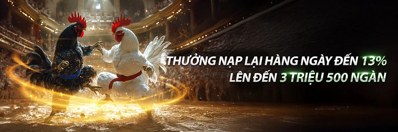 Đá gà trực tuyến 88aa Nổ Hũ